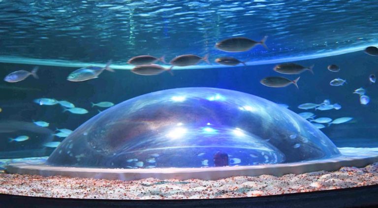 O maior aquário marinho em acrílico da América do Sul no Rio de Janeiro
