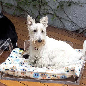 Cama Pet em Acrílico